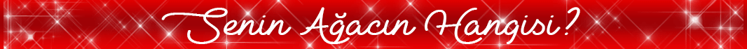 senin-agacin-hangisi-banner2.gif (118 KB)