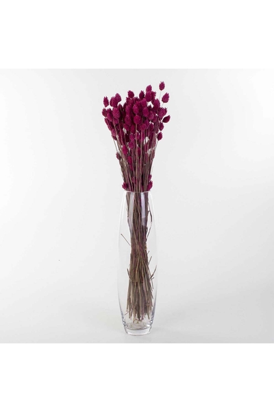 Kurutulmuş Phalaris Çiçek Fuşya Renk 80cm 1 Adet - 1