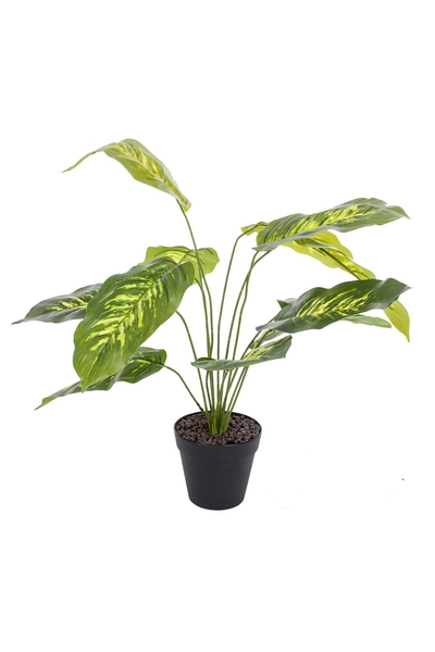 Yapay Saksıda Dieffenbachia 40cm 1 Adet - 1