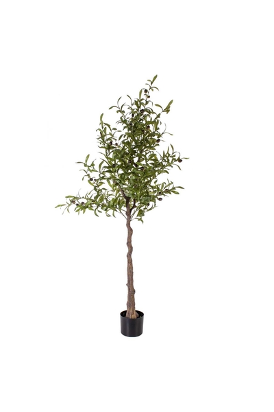 Yapay Zeytin Ağacı Kahverengi 165cm 1 Adet - 1