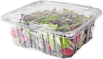 Sızdırmaz Kendinden Kapaklı Plastik Kap 750 gr (100'lü) - 2
