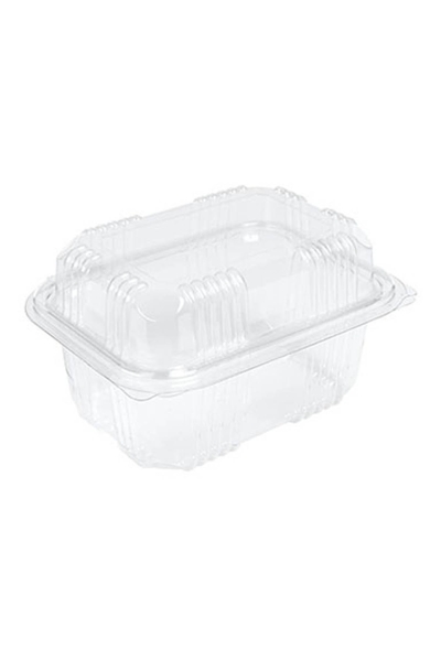 Sızdırmaz Kendinden Kapaklı Plastik Kap - Peynir Kabı 500 gr (100'lü) - 1